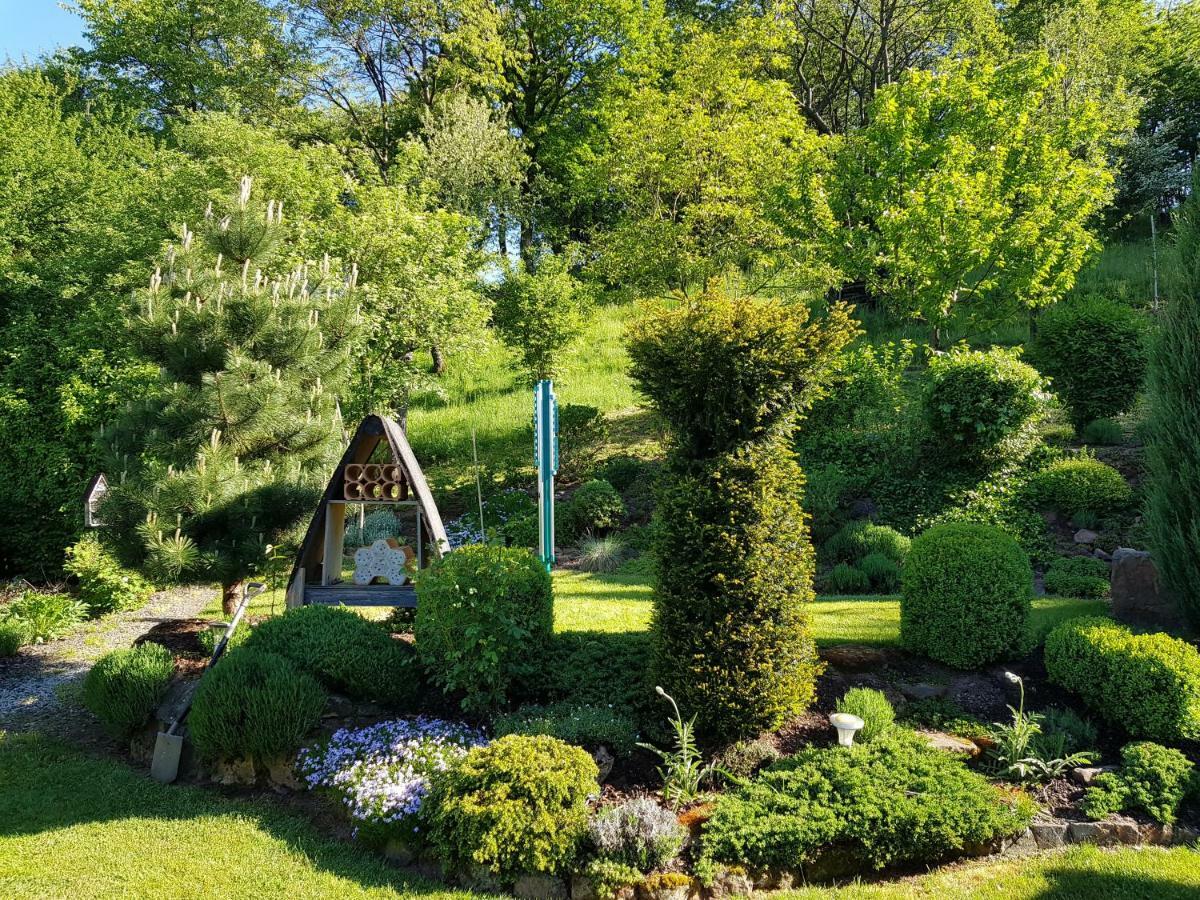 Ferienwohnung Am Betzelhuebel Ottweiler Экстерьер фото